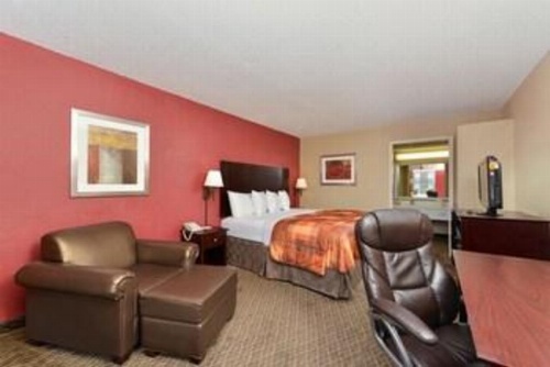 Guest Inn Ardmore image 29